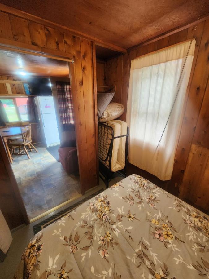 Cabin 2 Manistique Esterno foto