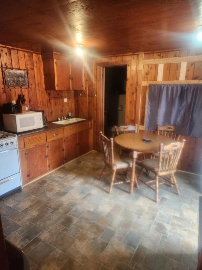Cabin 2 Manistique Esterno foto